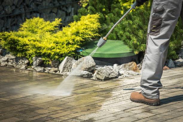 Best Winterizing Services  in Blakely, GA